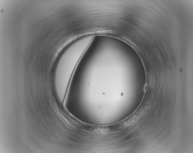 X0000060810350200511101042