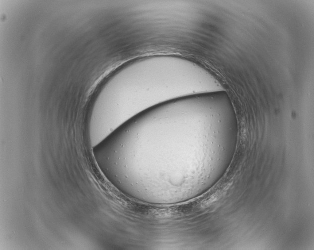 X0000060810351200511101042