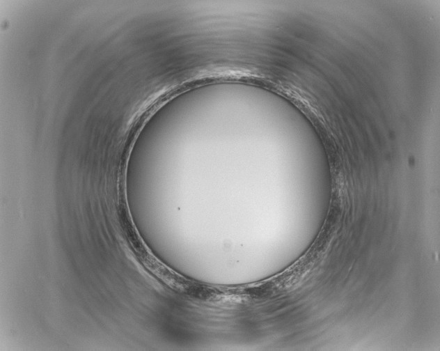 X0000060810352200511101042