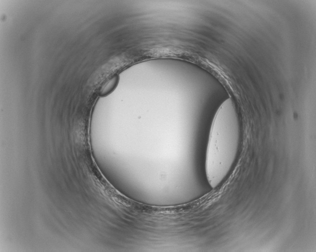 X0000060810353200511101042