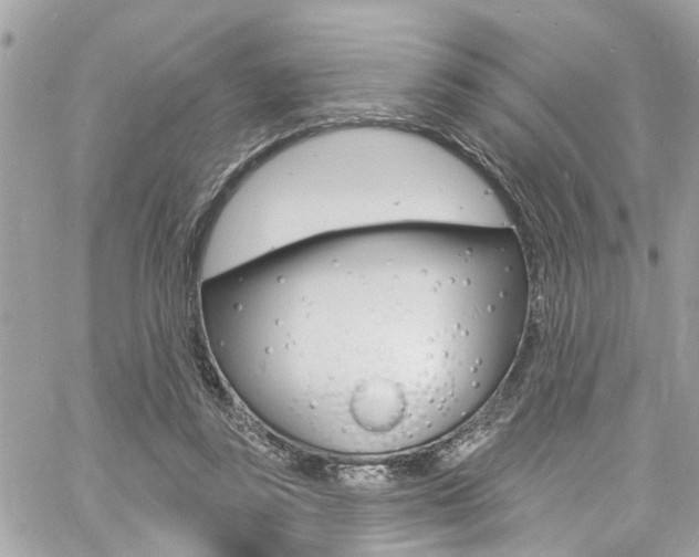 X0000060810355200511101042