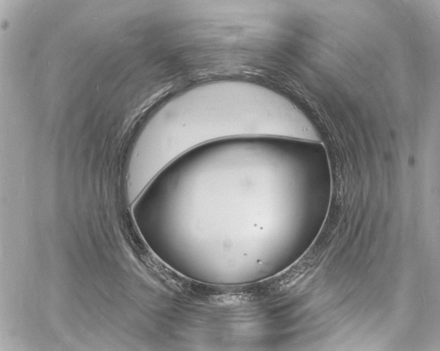 X0000060810356200511101042