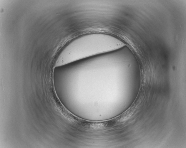 X0000060810357200511101042