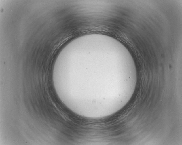 X0000060810360200511101042