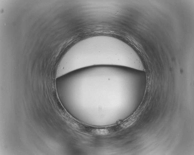 X0000060810361200511101042