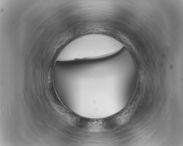 X0000060810362200511101042