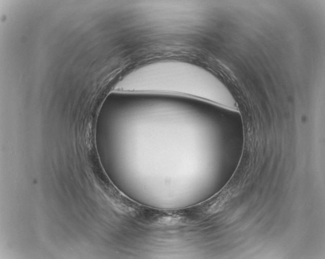 X0000060810364200511101042