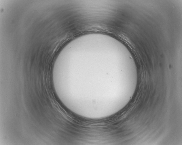 X0000060810365200511101042