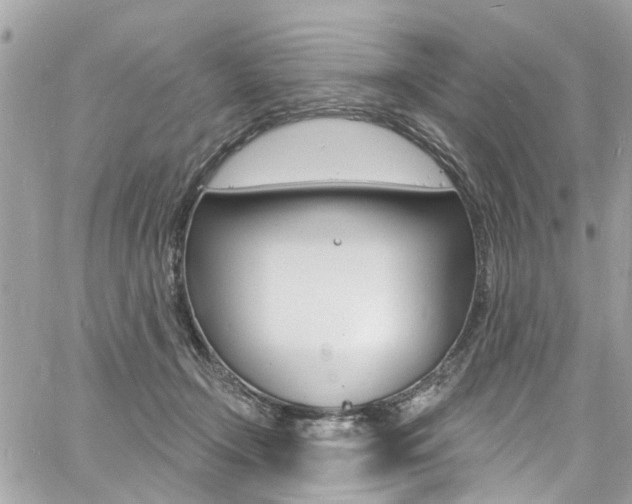 X0000060810366200511101042