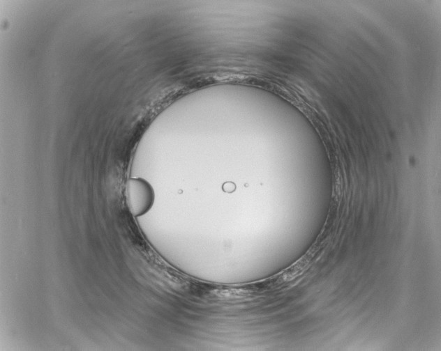 X0000060810367200511101042