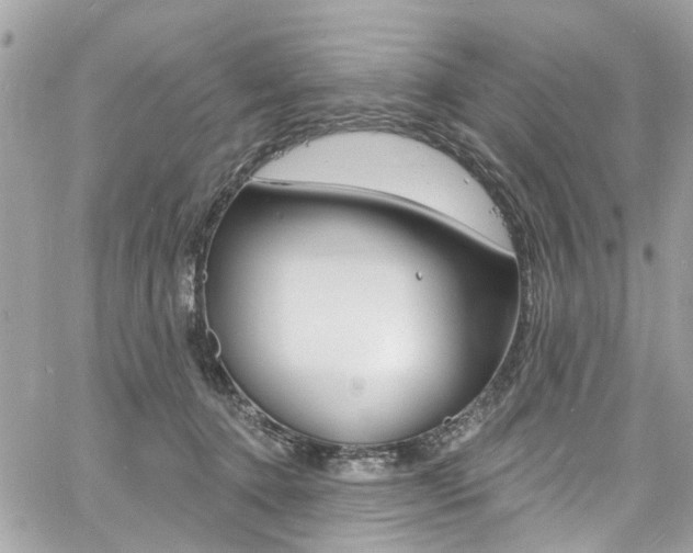 X0000060810368200511101042