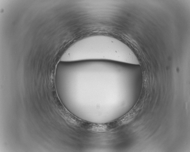 X0000060810369200511101042