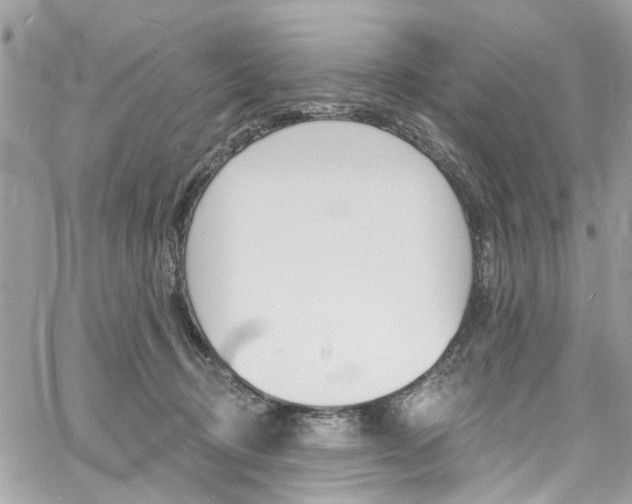 X0000060810370200511101042