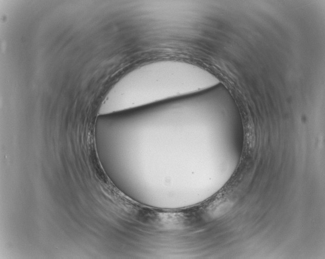 X0000060810371200511101042