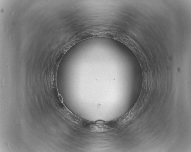 X0000060810372200511101042