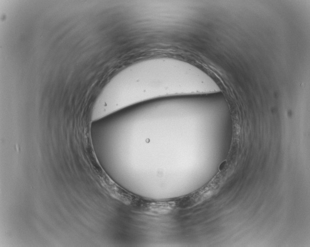 X0000060810373200511101042