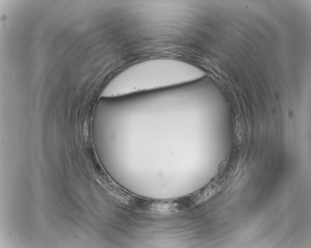 X0000060810375200511101042