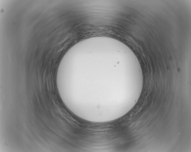 X0000060810376200511101042