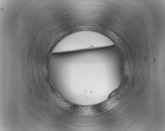 X0000060810377200511101042