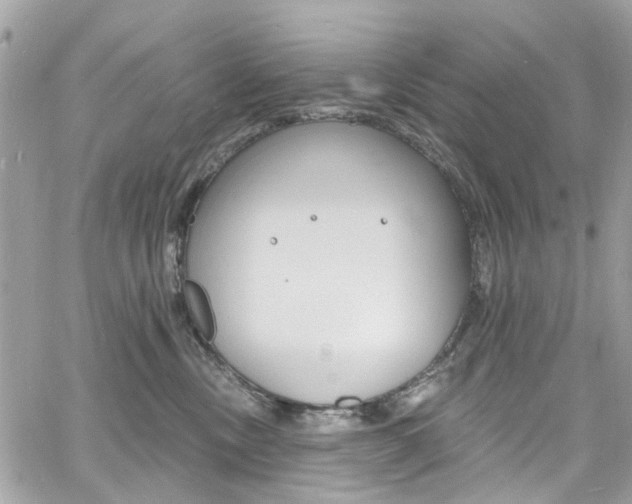 X0000060810378200511101042