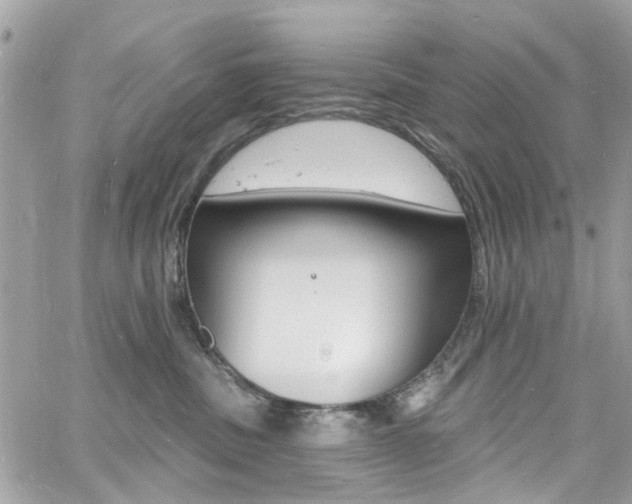 X0000060810379200511101042