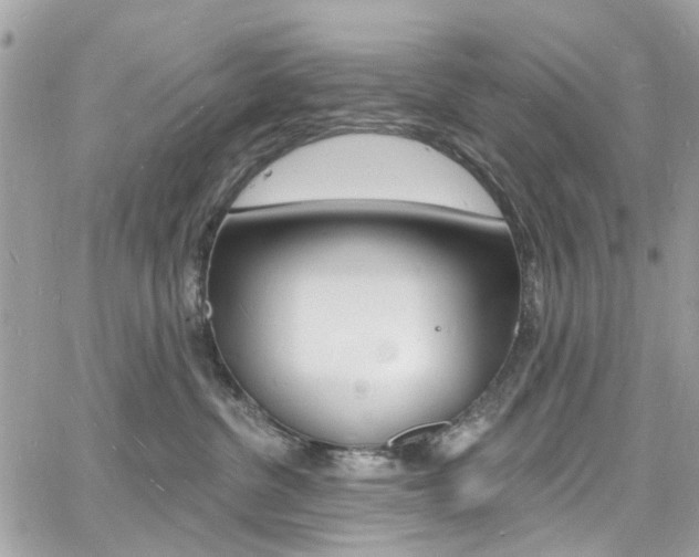 X0000060810380200511101042