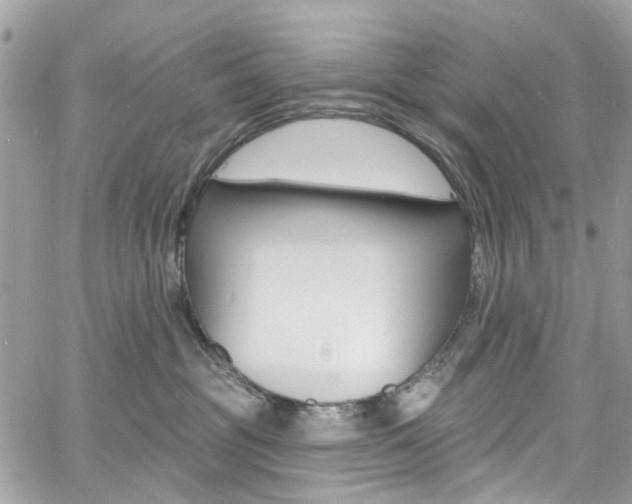 X0000060810381200511101042