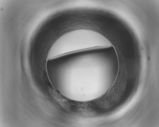 X0000060810382200511101042