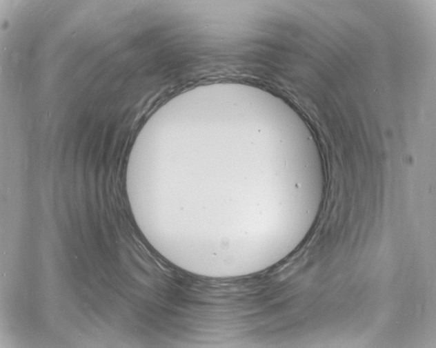 X0000060810384200511101042