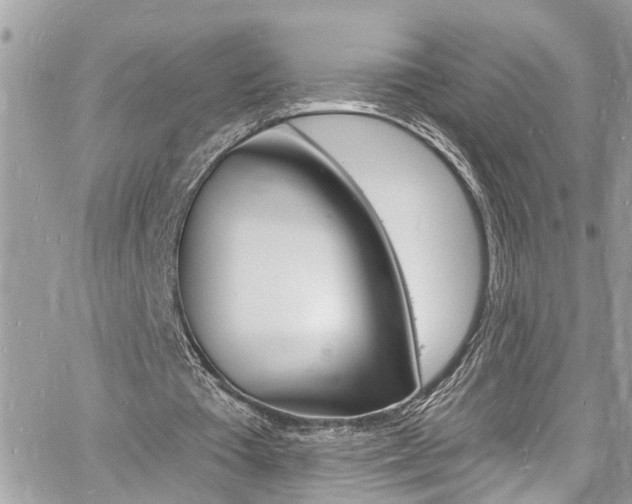 X0000060810385200511101041