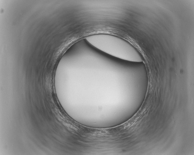 X0000060810386200511101041