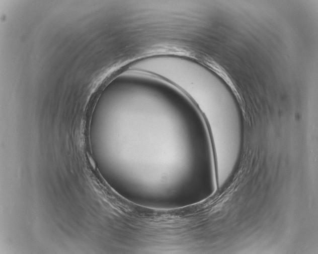 X0000060810387200511101041