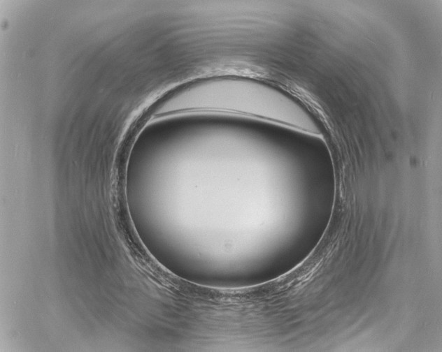 X0000060810388200511101041