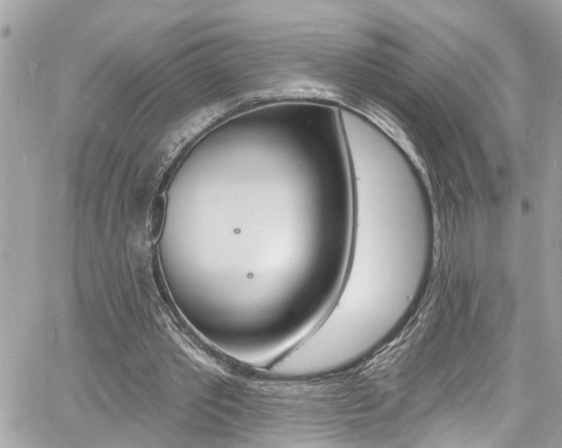 X0000060810389200511101041