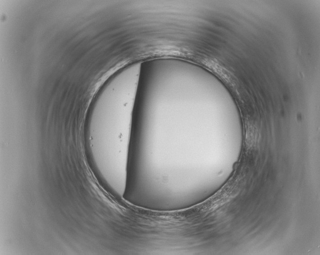 X0000060810390200511101041