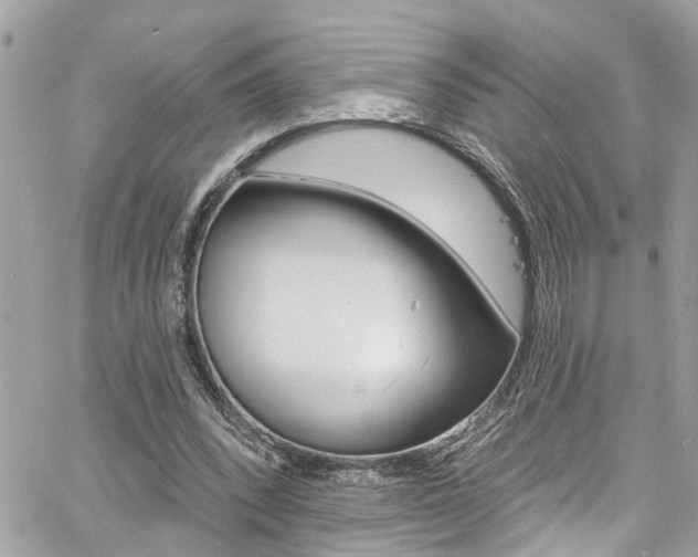 X0000060810392200511101041