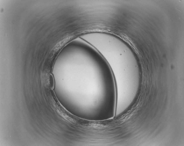 X0000060810393200511101041