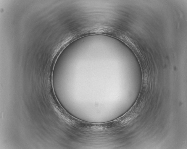 X0000060810394200511101041