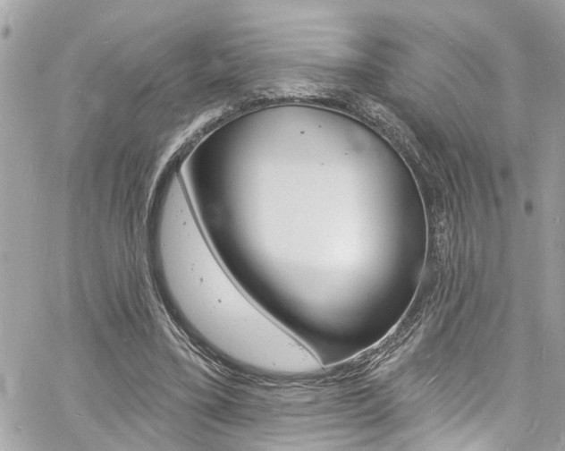 X0000060810395200511101041