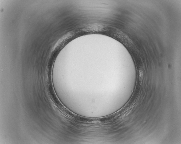 X0000060810396200511101041