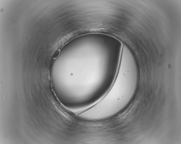 X0000060810397200511101041