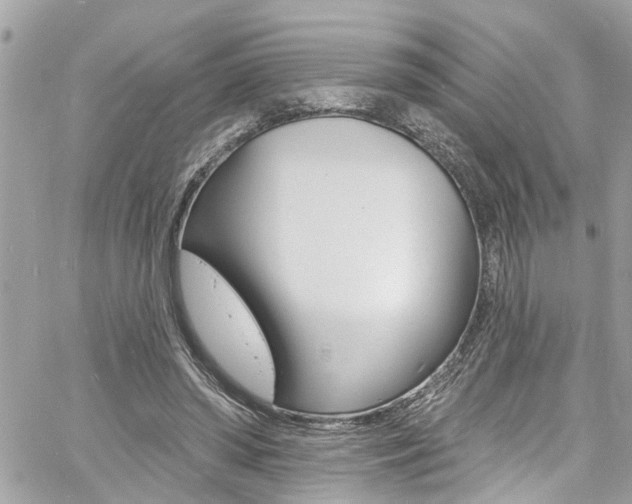 X0000060810398200511101041