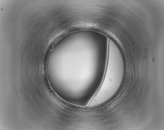 X0000060810399200511101041