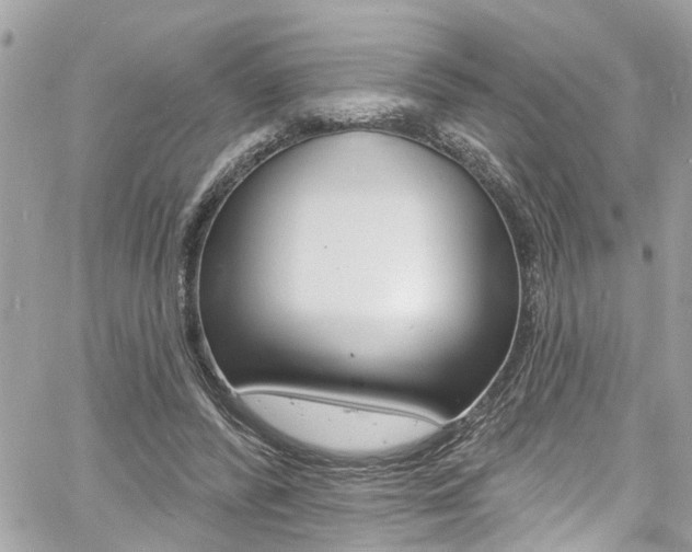 X0000060810400200511101041