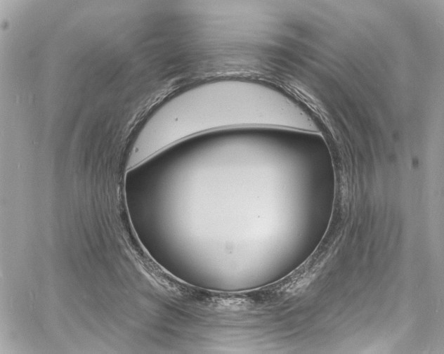 X0000060810401200511101041