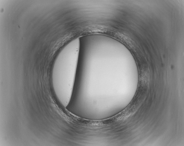 X0000060810402200511101041