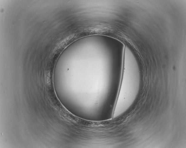 X0000060810403200511101041