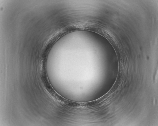 X0000060810404200511101041