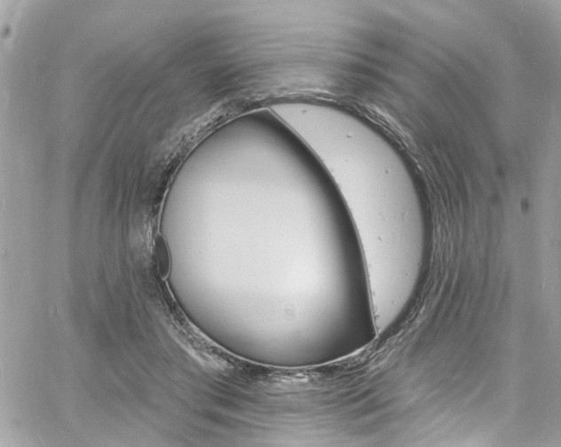 X0000060810405200511101041