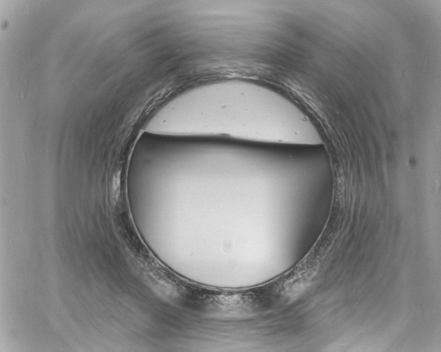 X0000060810406200511101041